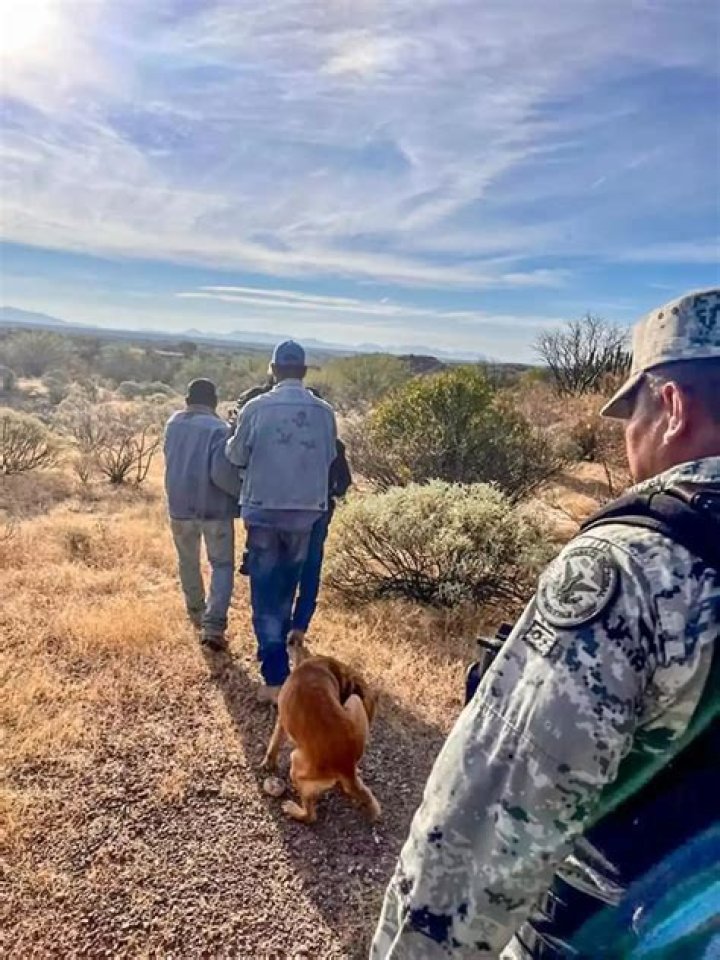 84-Year-Old Lost in the Desert Saved by His Dog’s Unconditional Love!