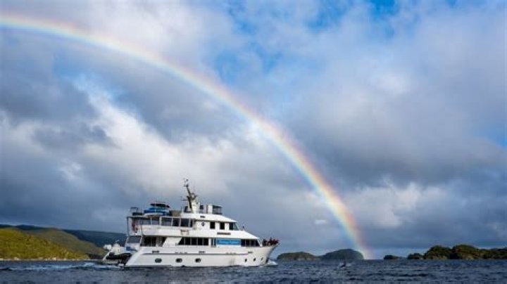 Dusky Sound Cruises: Best Cruises Through Dusky Sound