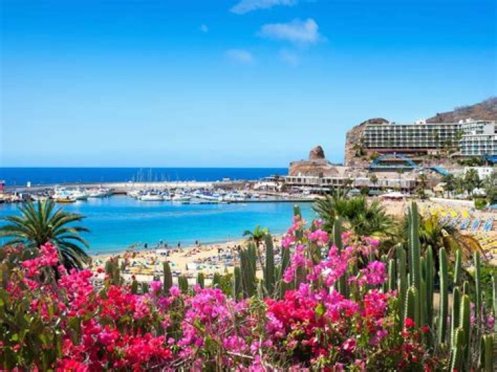 Gran Canaria Cruise: Discover Cruises to Gran Canaria