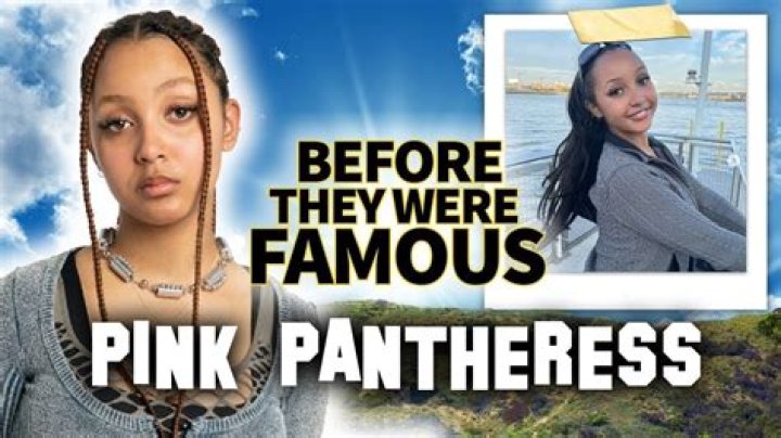 PinkPantheress Parents: Father Stephen G. Walker And Kenyan Mother