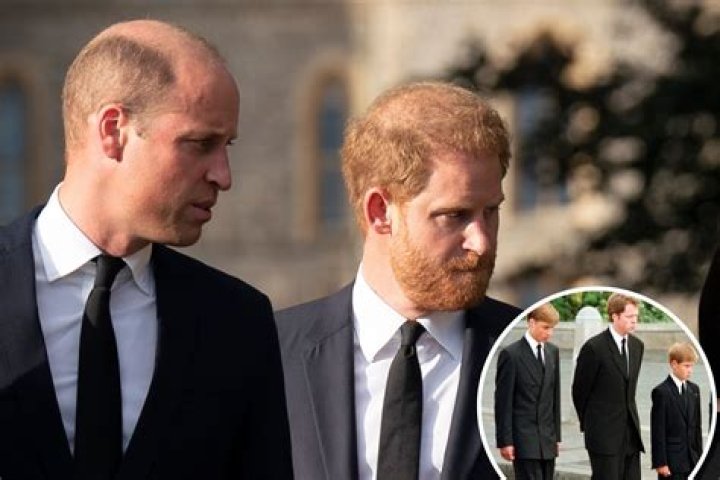 Princes William & Harry Reconcile to Mourn Diana
