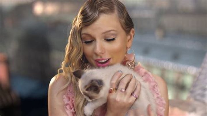 Taylor Swift Pets - Celebrity Pets