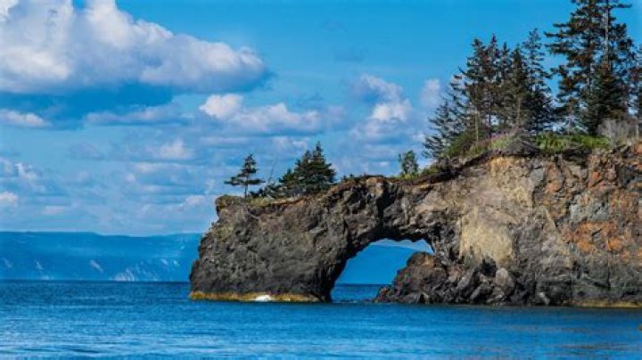 Visit Homer on an Alaska Cruisetour